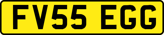 FV55EGG
