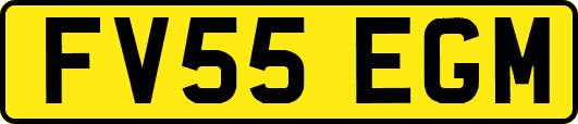 FV55EGM