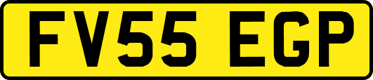 FV55EGP