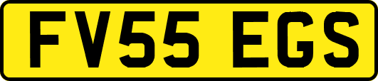 FV55EGS