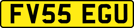 FV55EGU