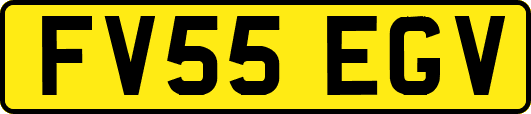 FV55EGV