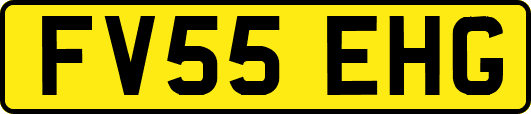 FV55EHG