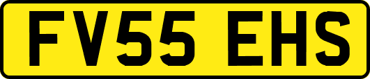 FV55EHS