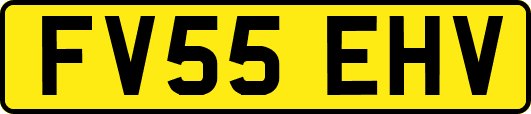 FV55EHV
