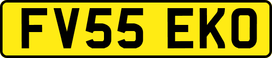 FV55EKO