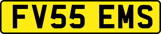 FV55EMS