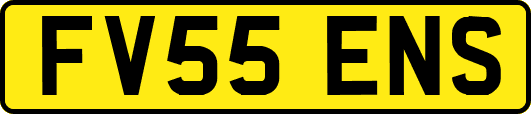 FV55ENS