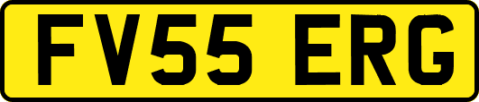 FV55ERG