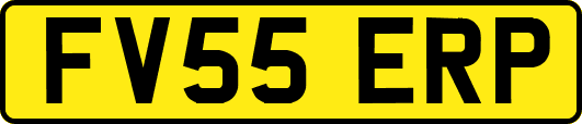 FV55ERP