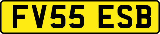 FV55ESB