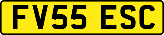 FV55ESC