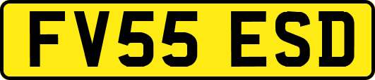 FV55ESD