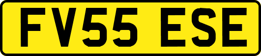 FV55ESE