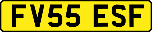 FV55ESF