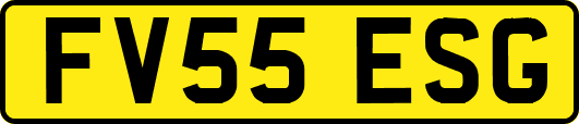 FV55ESG