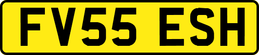 FV55ESH