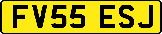 FV55ESJ