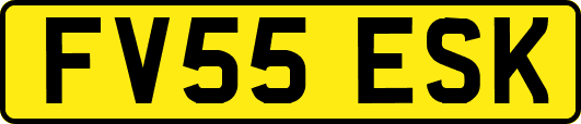 FV55ESK