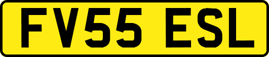 FV55ESL