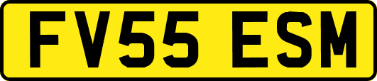 FV55ESM