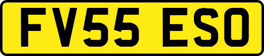FV55ESO