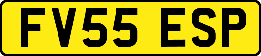 FV55ESP