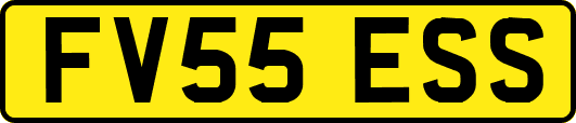 FV55ESS