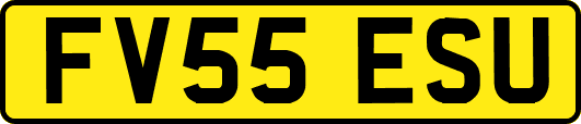 FV55ESU