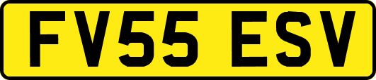 FV55ESV