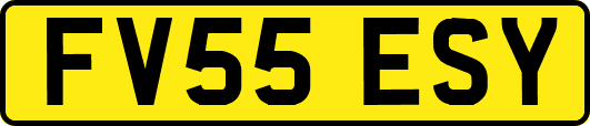 FV55ESY