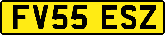 FV55ESZ