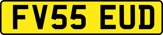 FV55EUD