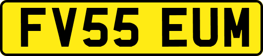 FV55EUM