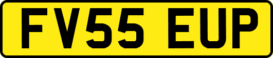 FV55EUP