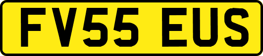 FV55EUS