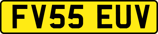FV55EUV