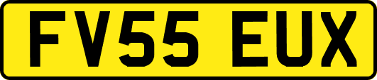 FV55EUX