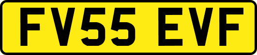 FV55EVF