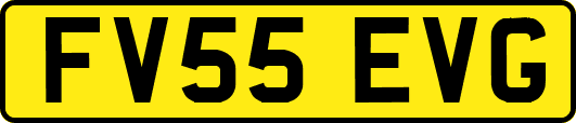 FV55EVG