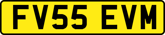 FV55EVM