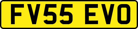 FV55EVO