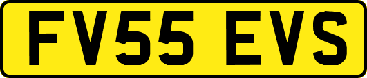 FV55EVS