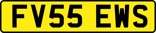 FV55EWS
