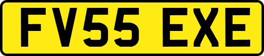 FV55EXE