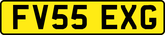 FV55EXG