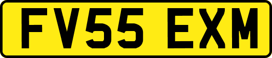 FV55EXM