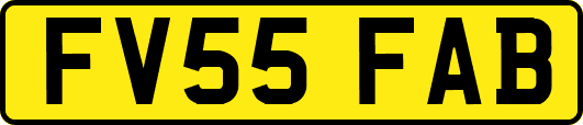 FV55FAB