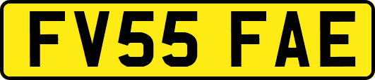 FV55FAE