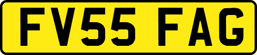 FV55FAG